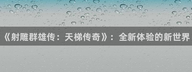 辉达娱乐注册登录平台：《射雕群雄传：天梯传奇》：全新体验的新