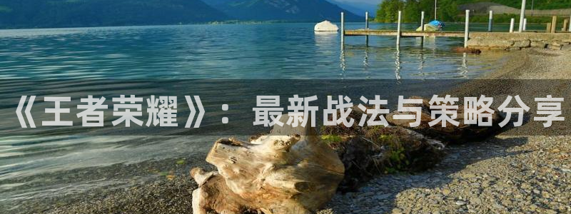 辉达娱乐官方登录网址：《王者荣耀》：最新战法与策略分享