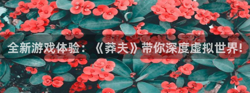 辉达娱乐网址注册：全新游戏体验：《莽夫》带你深度虚拟世界!