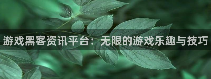 辉达娱乐4开户：游戏黑客资讯平台：无限的游戏乐趣与技巧