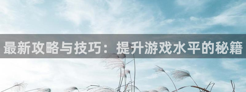 辉达娱乐官方登录网址：最新攻略与技巧：提升游戏水平的秘籍