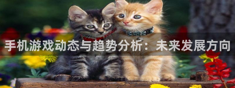 辉达娱乐平台：手机游戏动态与趋势分析：未来发展方向