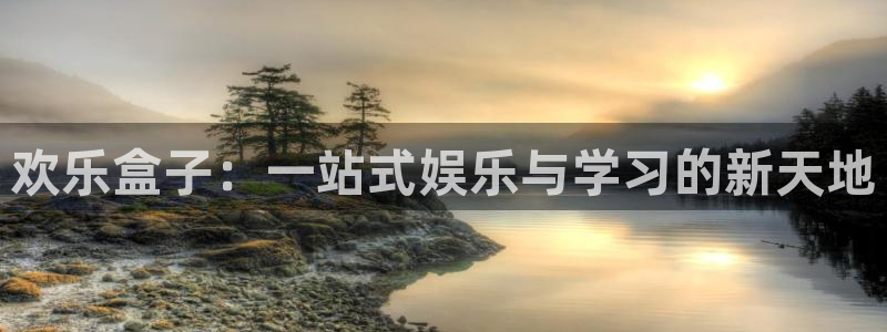 辉达娱乐现状与未来发展情况分析：欢乐盒子：一站式娱乐与学习的