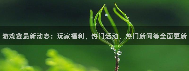 辉达娱乐每天能进几单啊：游戏鑫最新动态：玩家福利、热门活动、