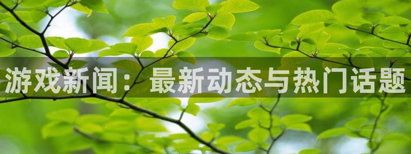 辉达娱乐注册账号：游戏新闻：最新动态与热门话题