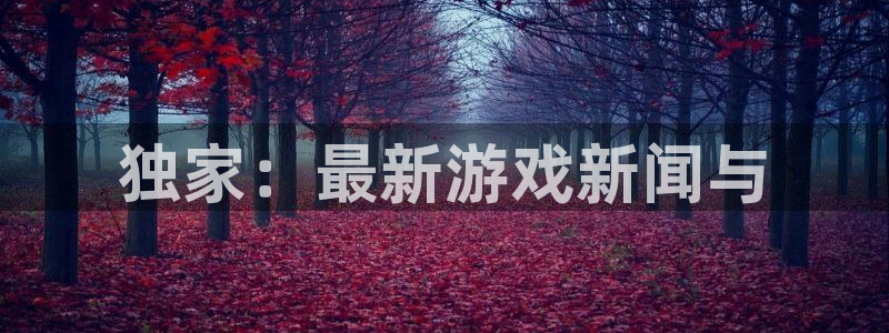 辉达娱乐平台官网注册：独家：最新游戏新闻与